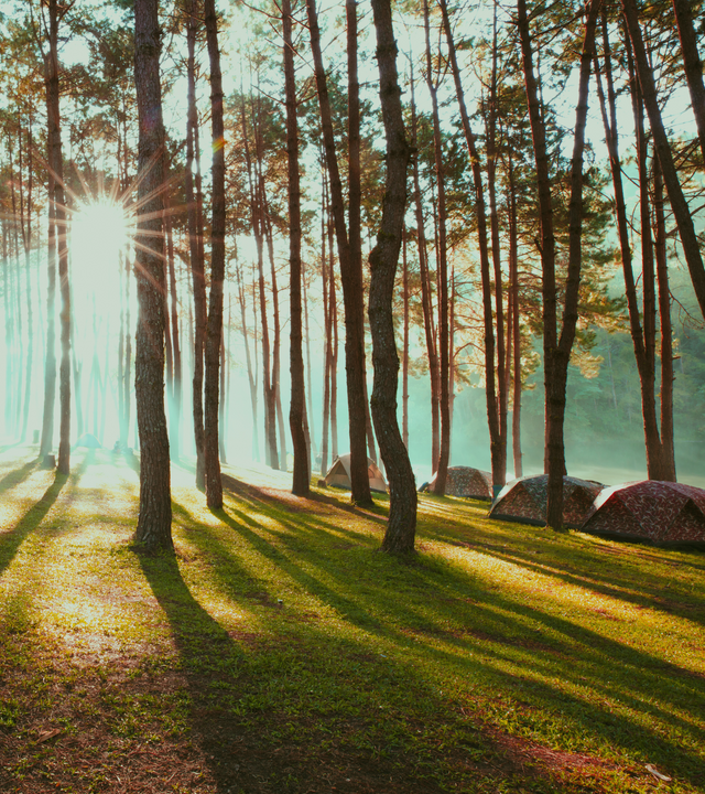 The Jet-Set Guide to SUSTAINABLE TRAVEL